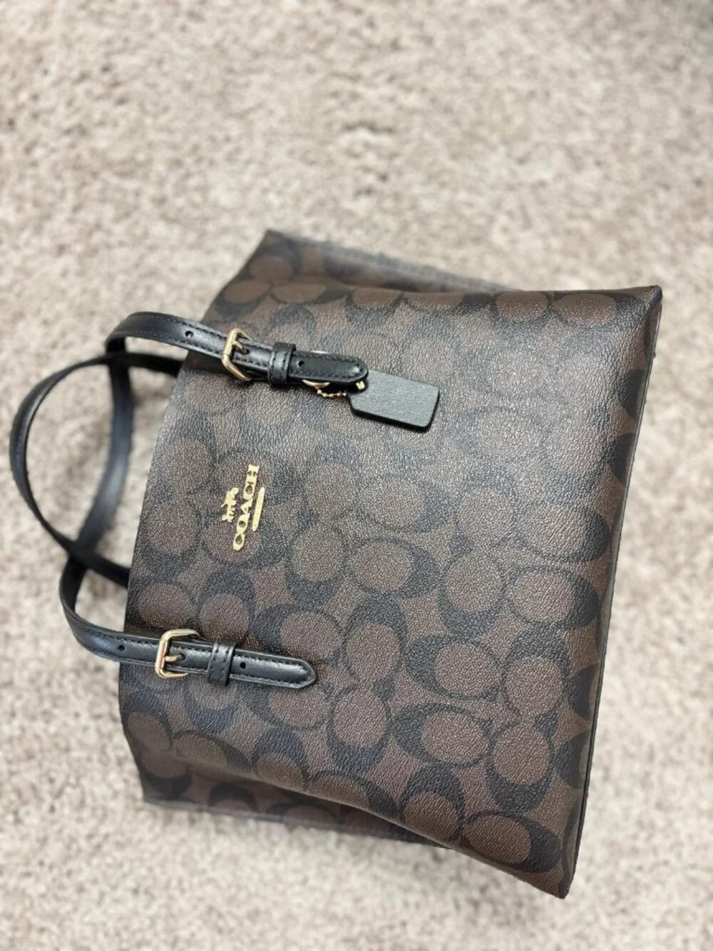Mollie Tote Bag 25 In Signature Canvas